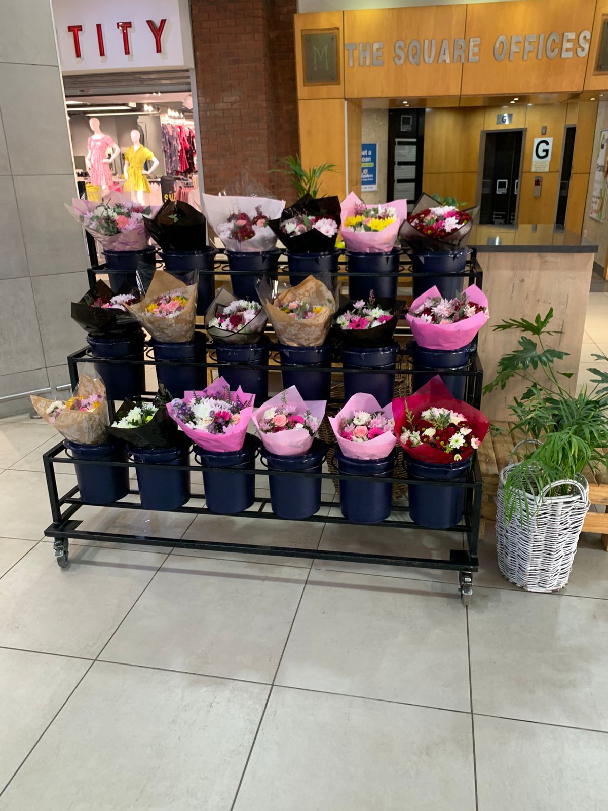 Masana Florist WonderPark